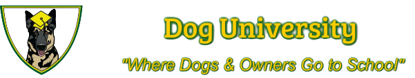 Dog University Logo with transparent background
