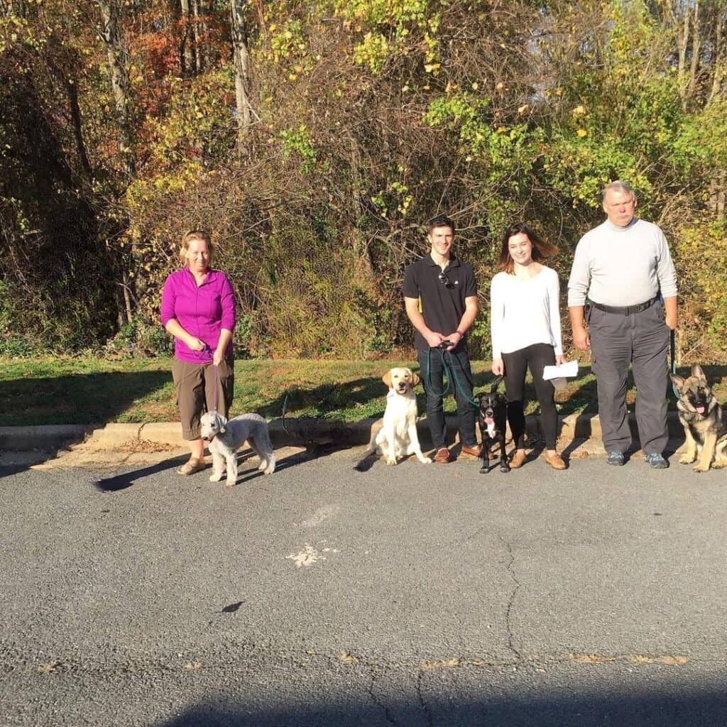Morning group sessions with dog owners in Vienna, VA